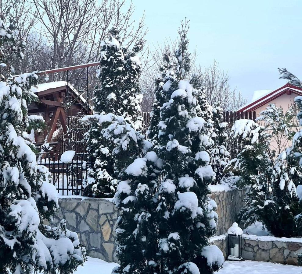 Casa Alex Hotell Sărata-Monteoru Exteriör bild