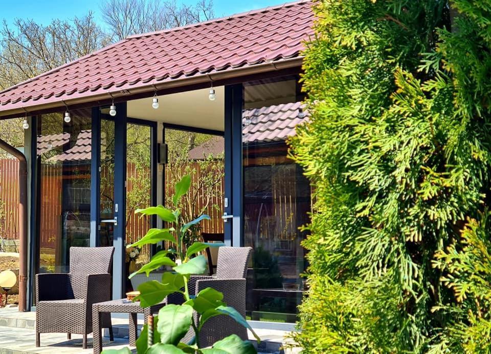Casa Alex Hotell Sărata-Monteoru Exteriör bild